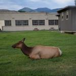 OTRA2013_1399 (July 15, 2013)